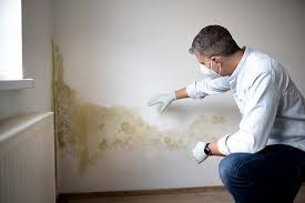 Green Park, MO Mold Remediation Company